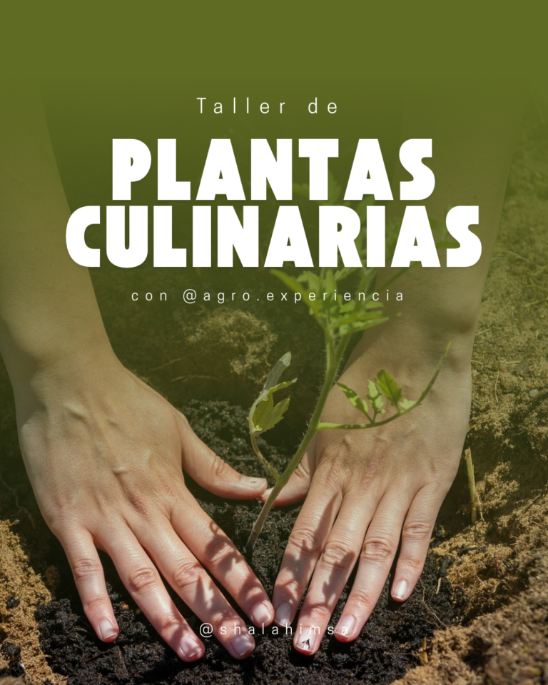 Plantas-culinarias